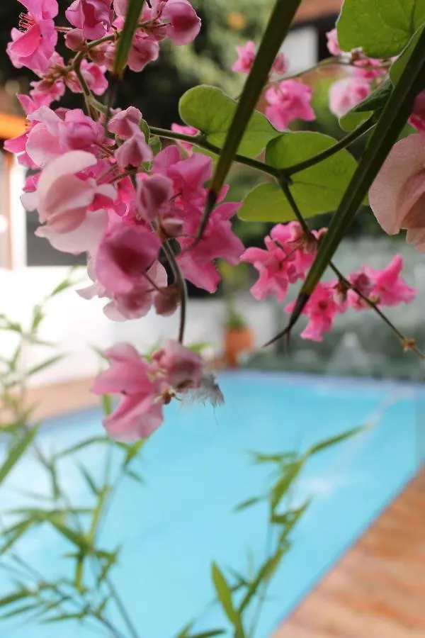 ****  Hotel Boutique las Rosas 5 G Medellín Colombia